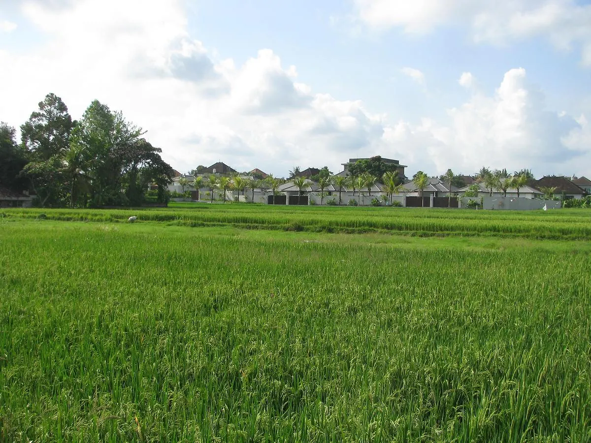 אכסניה אובוד Pondok Mesari House
