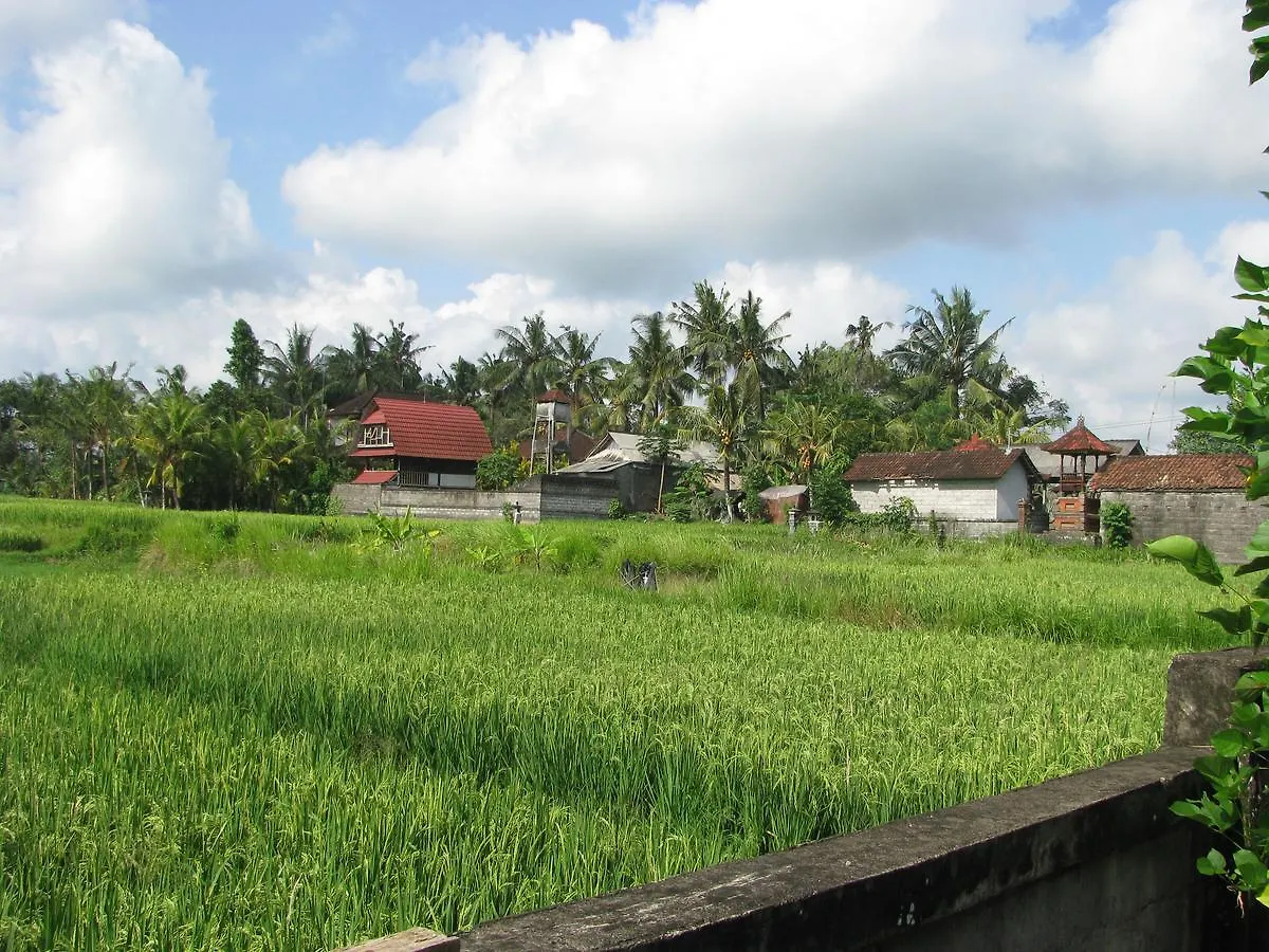 Pondok Mesari House Ubud  0*, Ubud (Bali)